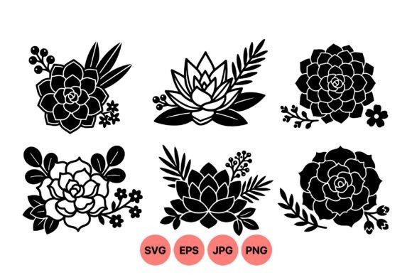 Succulent Floral Clipart Collection for Graphics and Illustrations